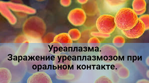 Уреаплазма. Заражение уреаплазмозом при оральном контакте.