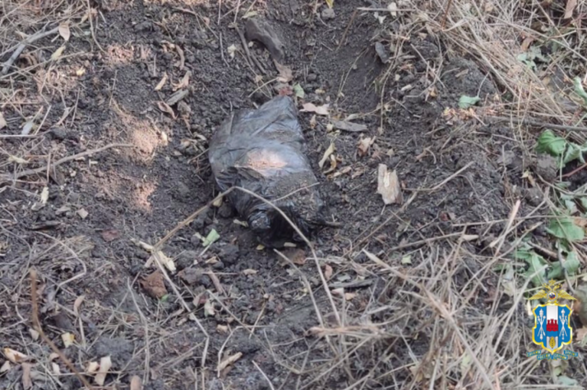    В Ростовской области накрыли сообщество наркосбытчиков из семи человек