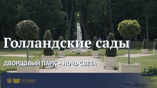 Голландские сады • Ночь света