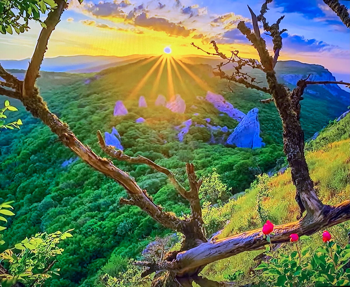 #мир, #эволюциясознания, #душа, #повышениевибраций, #нейросеть