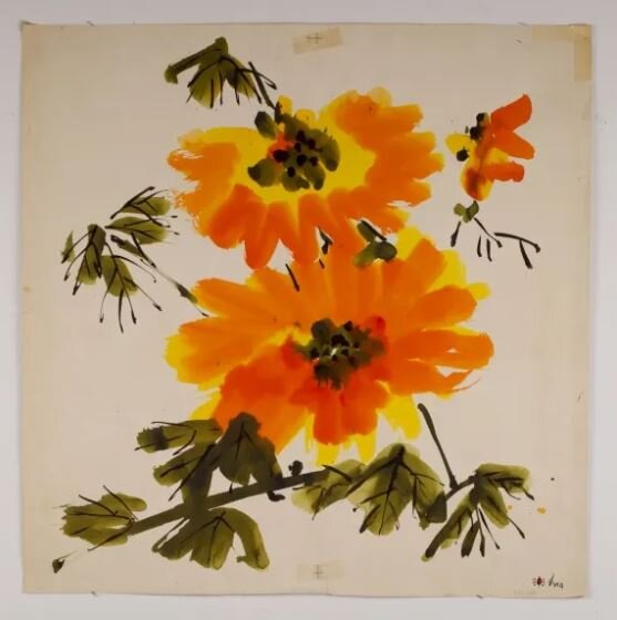 *фото из открытых источников