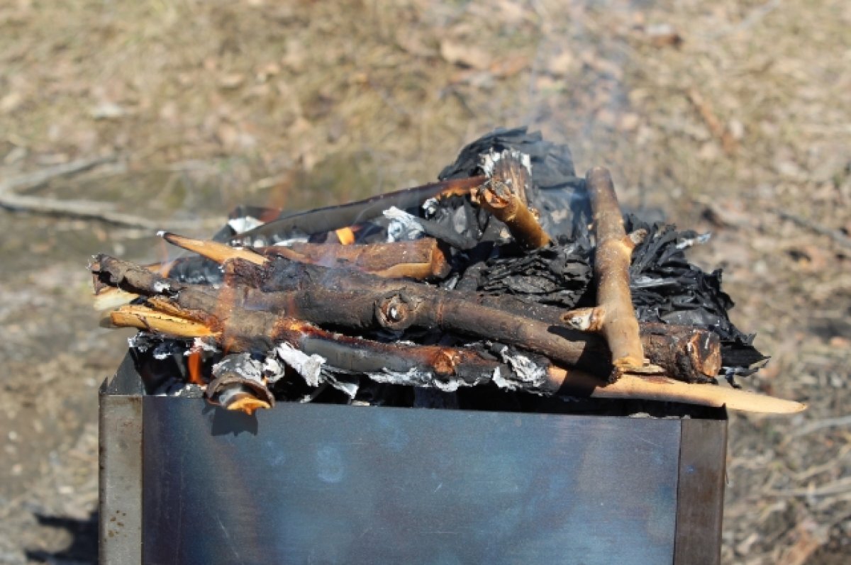    Цена мангала в мае 2023 года в Забайкалье составит не менее 1000 рублей