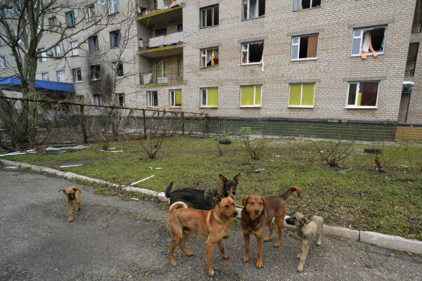 Фото: РИА Новости\Александр Гальперин