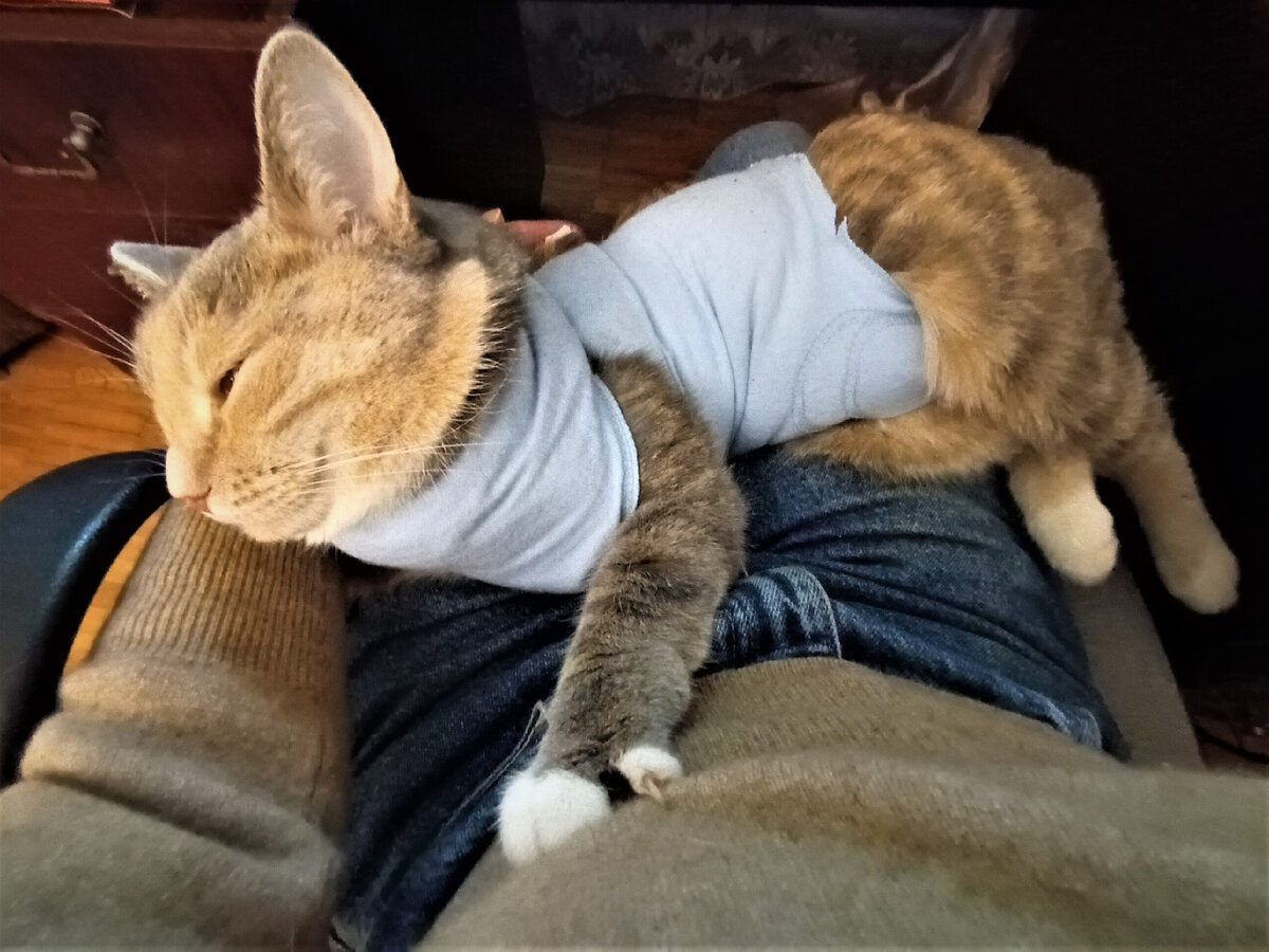 Феня приходит в себя после операции