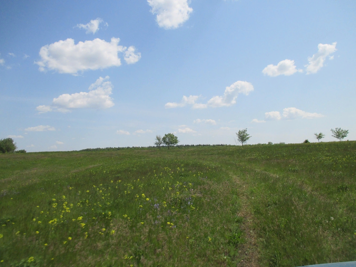 Дорога к лазоревому холму