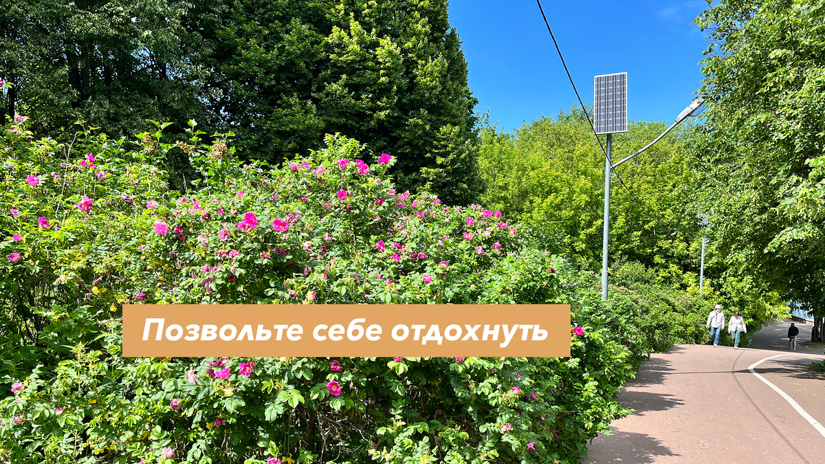 Парк - отличное место для отдыха