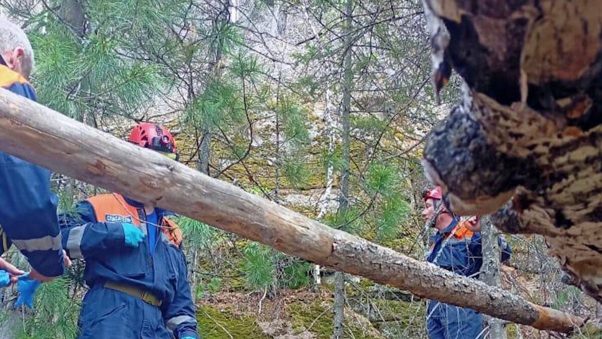     В СК сообщили, что начали проводить проверку из-за гибели женщины в нацпарке «Красноярские столбы».