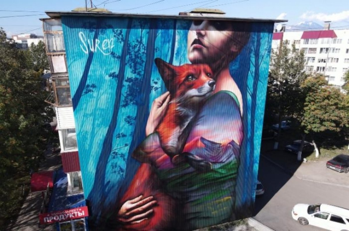    В Петропавловске-Камчатском на фасады зданий нанесут 25 граффити