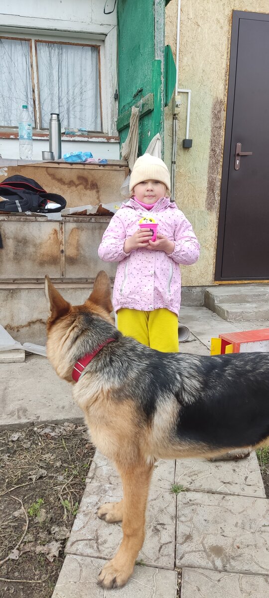 Варя и Герда на даче, Герда от неё не отходит. 