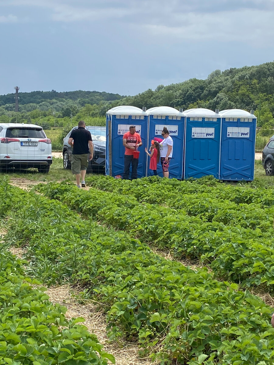 на поле есть даже туалеты