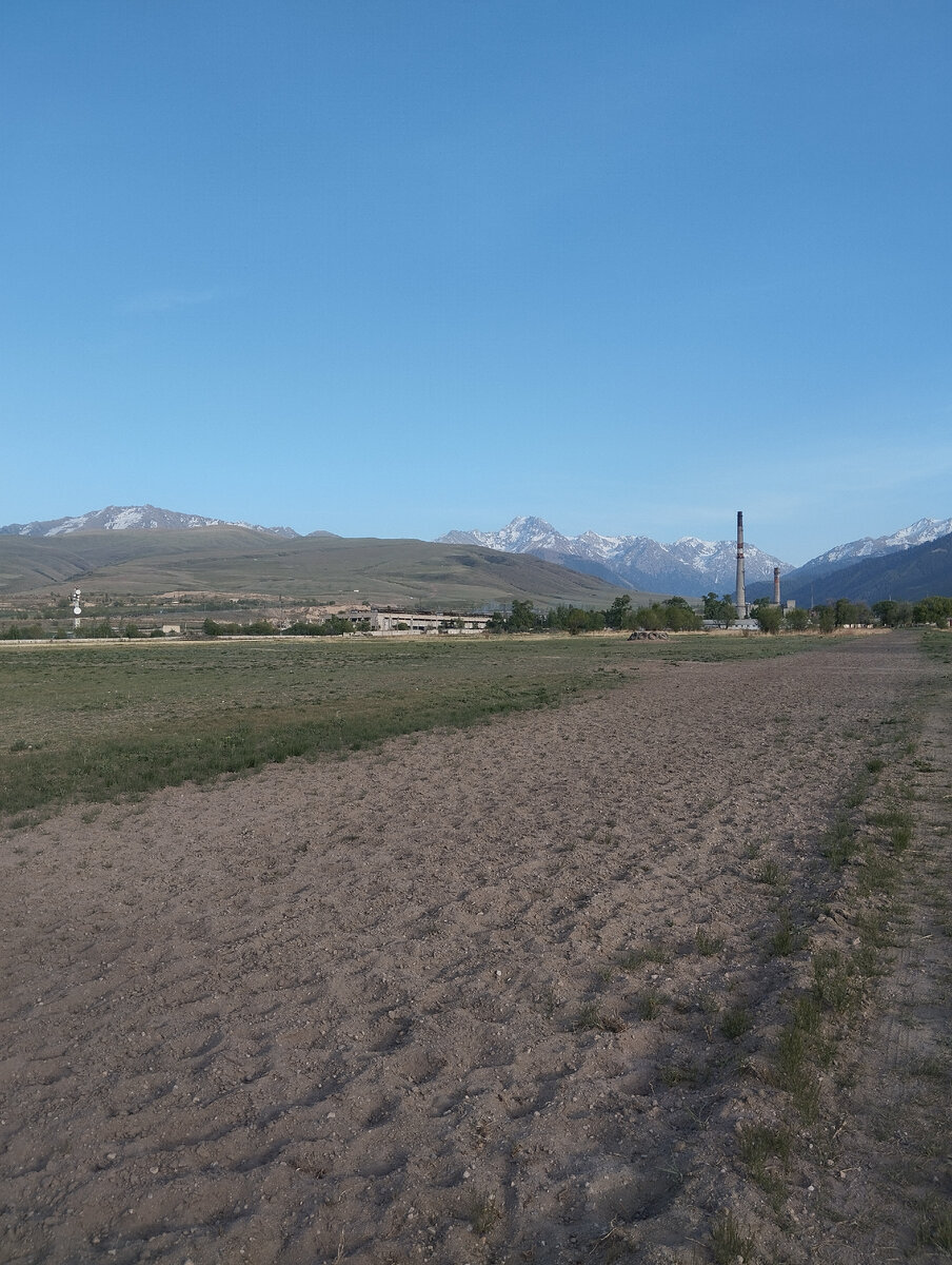 Поле ипподрома фото автора