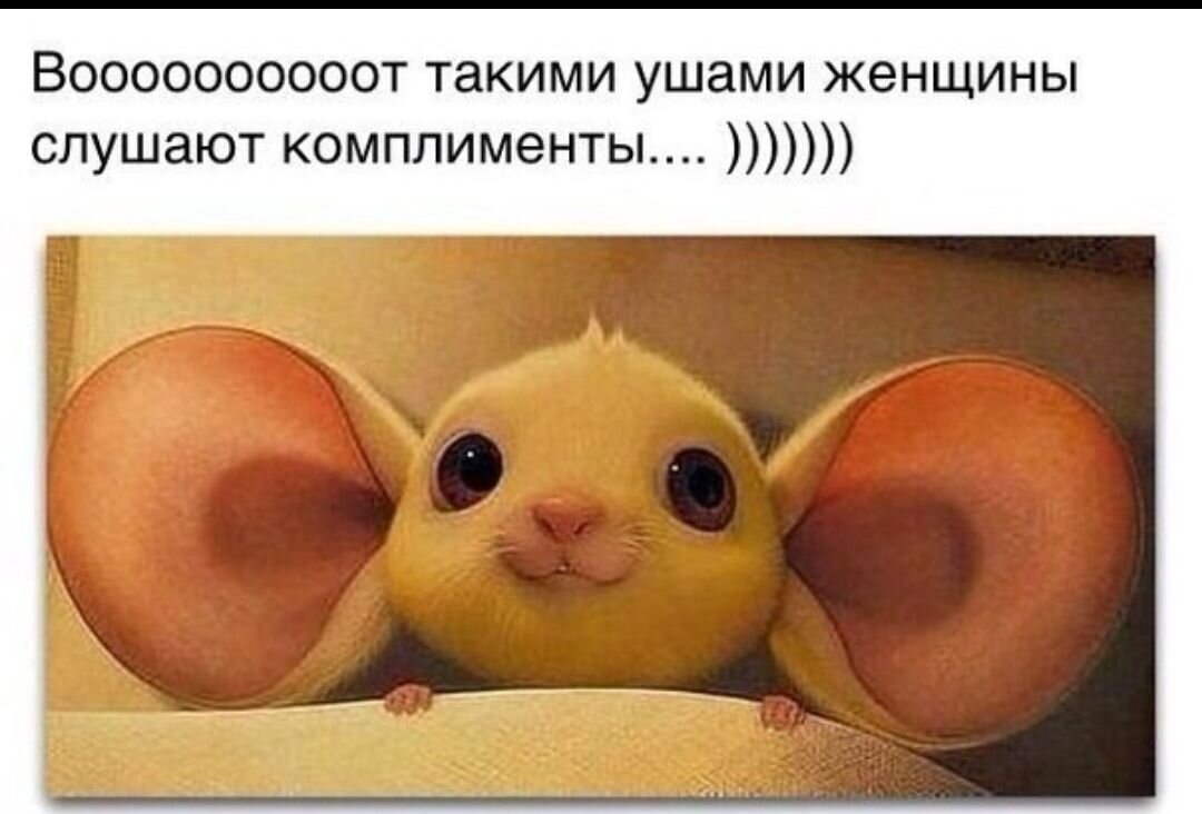  Фото из картинок yandex.ru