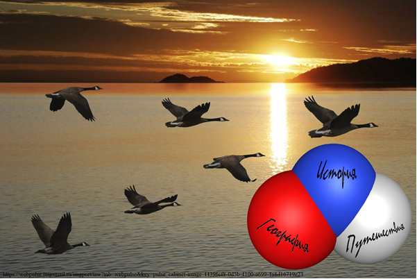 "Почему эти птицы на Север летят, Если птицам положено только на Юг?" (В.С. Высоцкий)