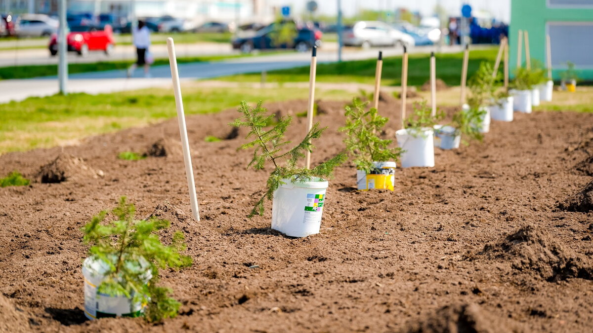    На прямой линии губернатора Югры обсудят охрану окружающей среды