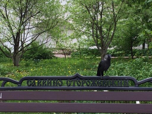 Фото Е.Стоун