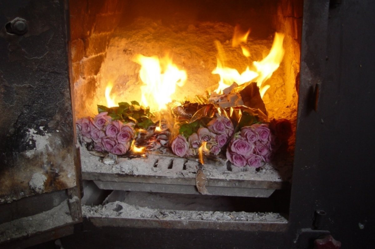    В Томской области уничтожили опасные ромашки и розы