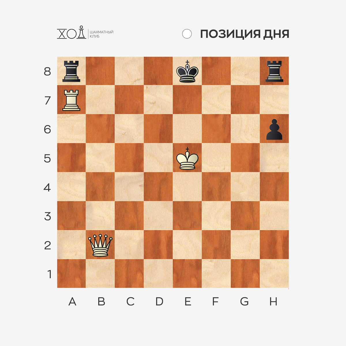 Задача по шахматам