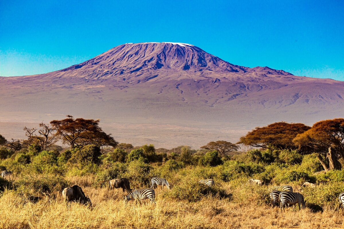 Cuanto cuesta subir al kilimanjaro