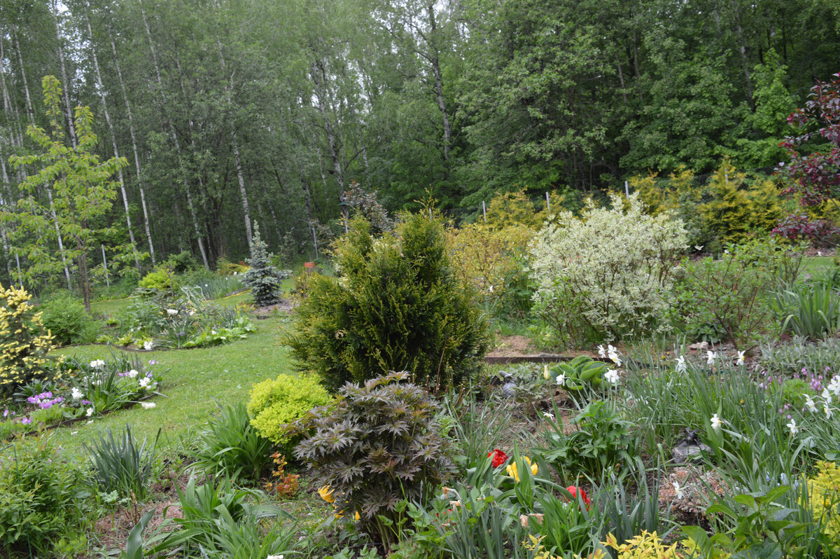 2. В галерее 7 фото, листайте