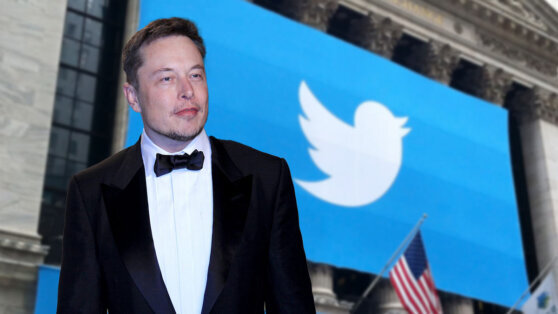    Маск подтвердил, что планирует переименовать Twitter Анна Белая