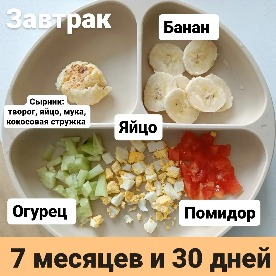 Пример тарелки в 7 месяцев 
