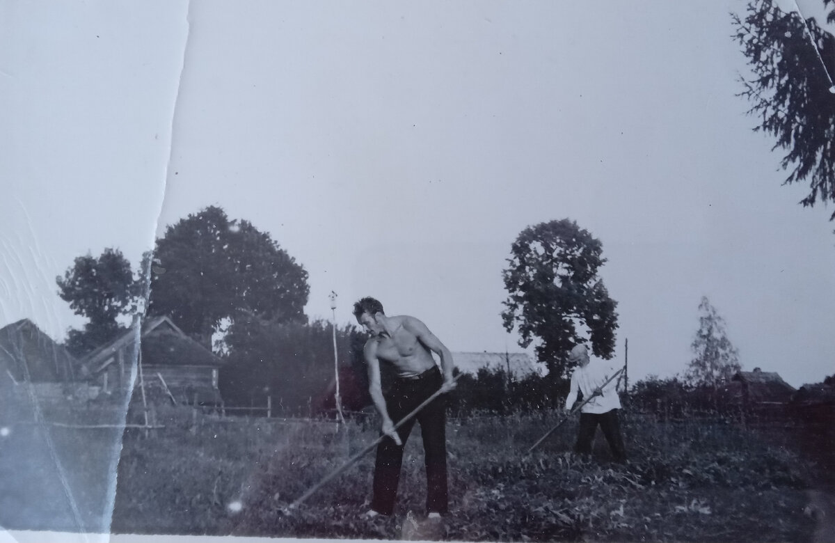 Сенокос в деревне. Из личного архива. Папа и дедушка.