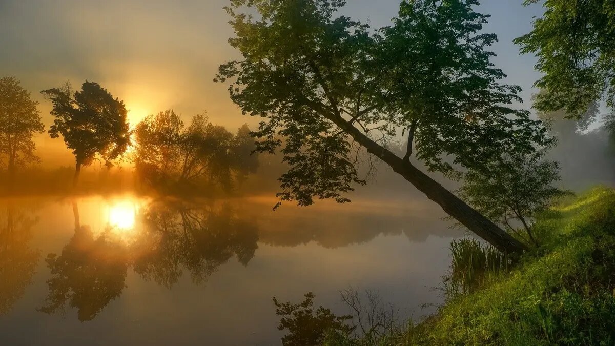 Предстоящие сутки станут для метеопатов опасными. Фото: pxhere.com