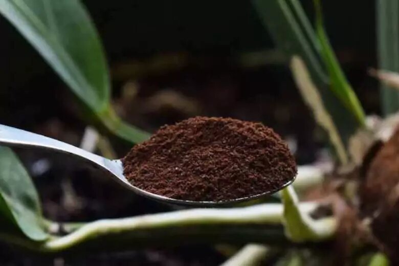 Кофе удобрение для растений