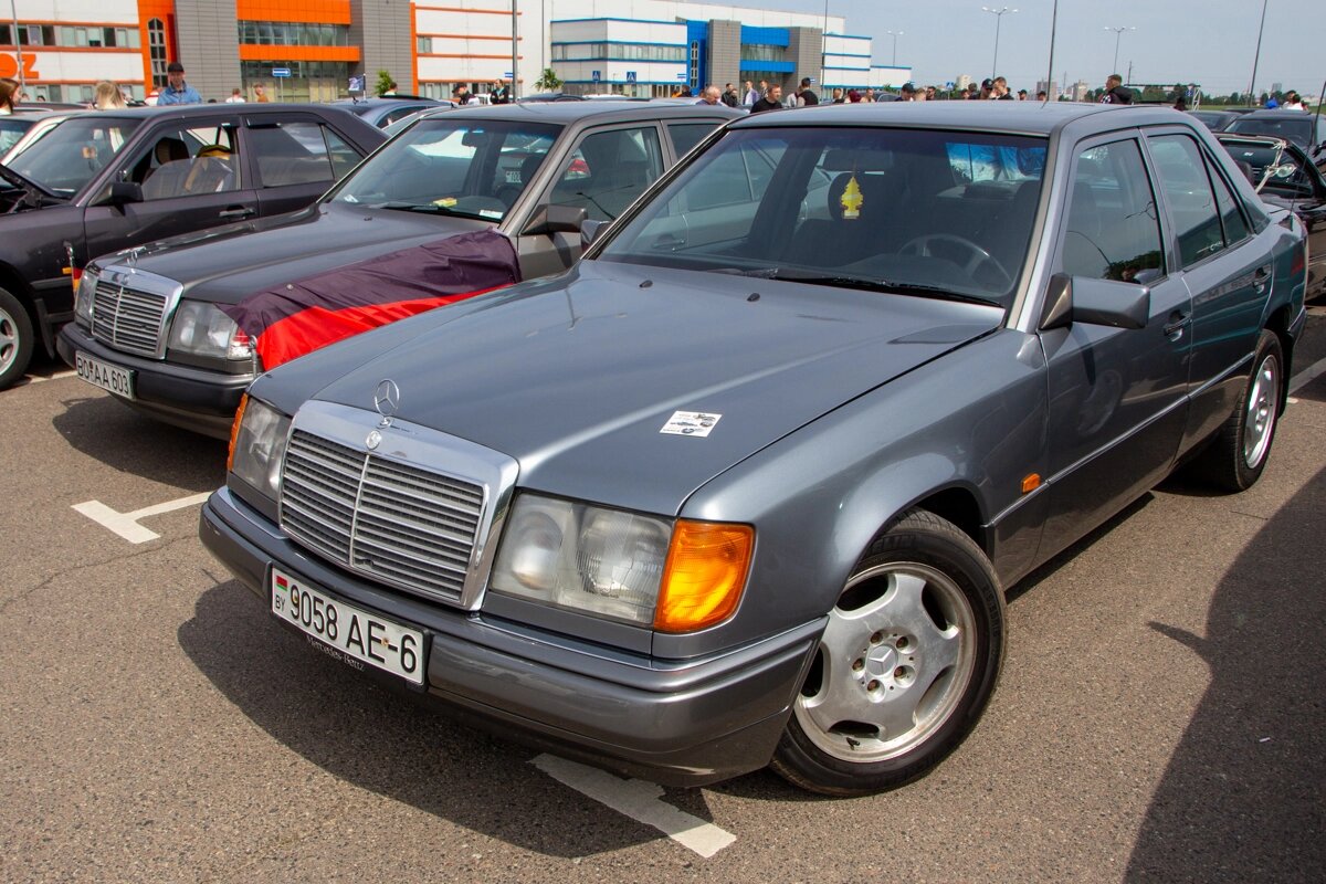 Нет года выпуска, есть состояние». Владельцы старых Mercedes собрались на  большую встречу | abw.by | Дзен