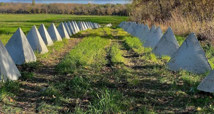 Фото из интернета.