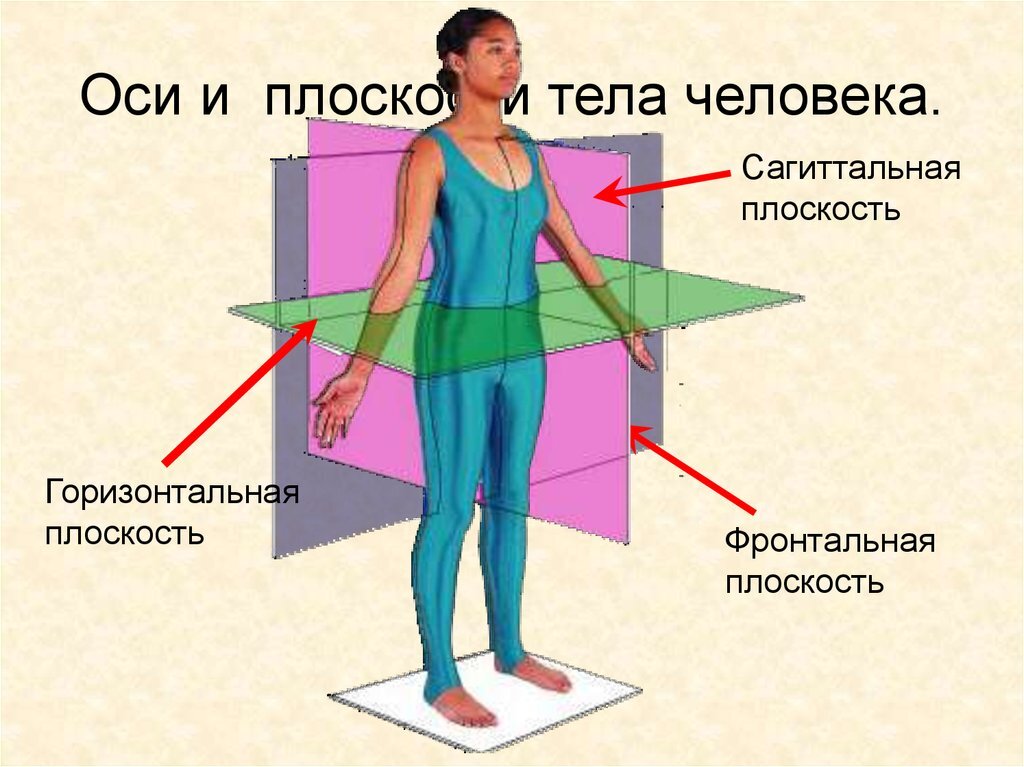 Что значит фронтальное изображение