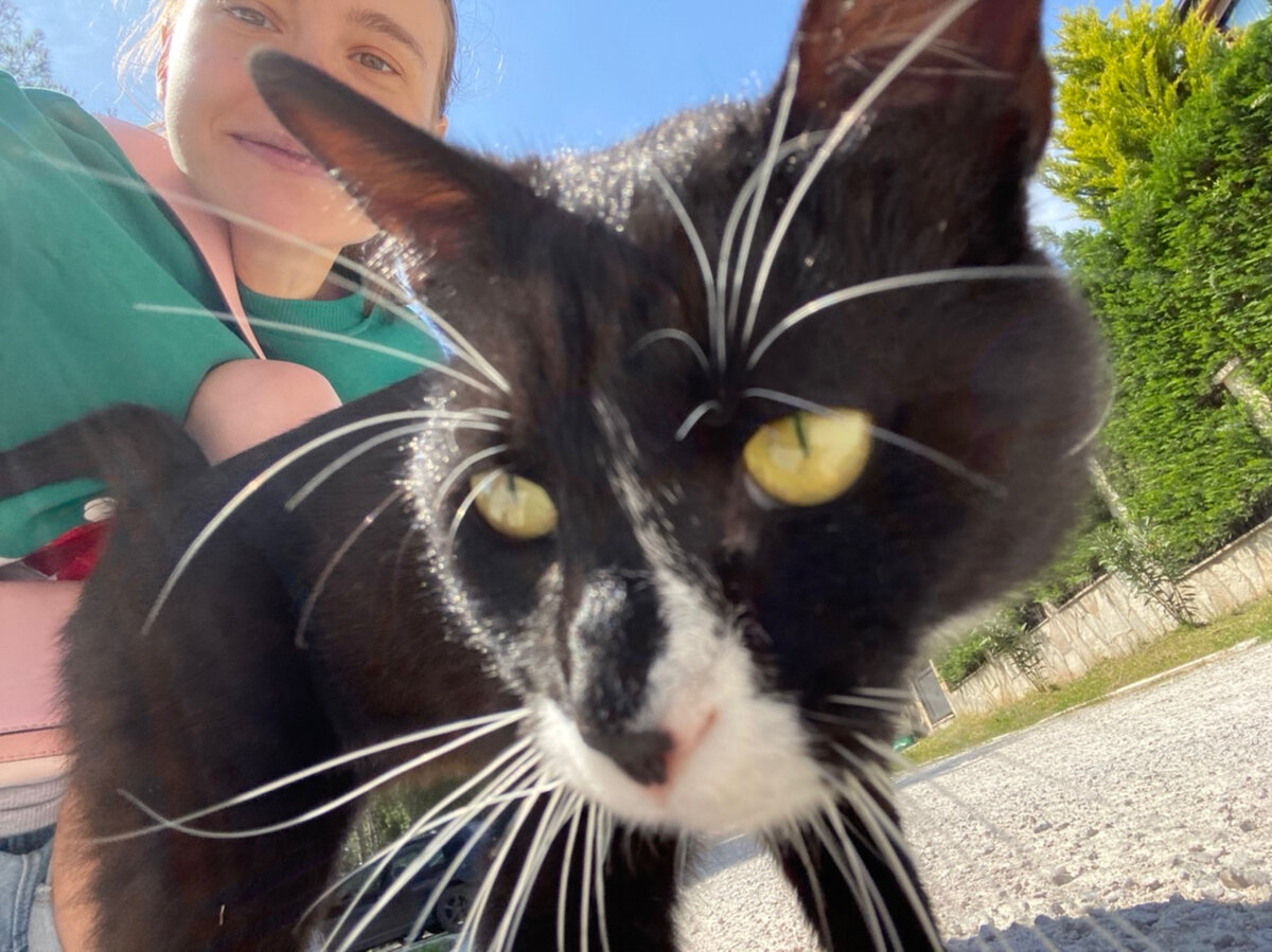 Познакомились, пообщались)