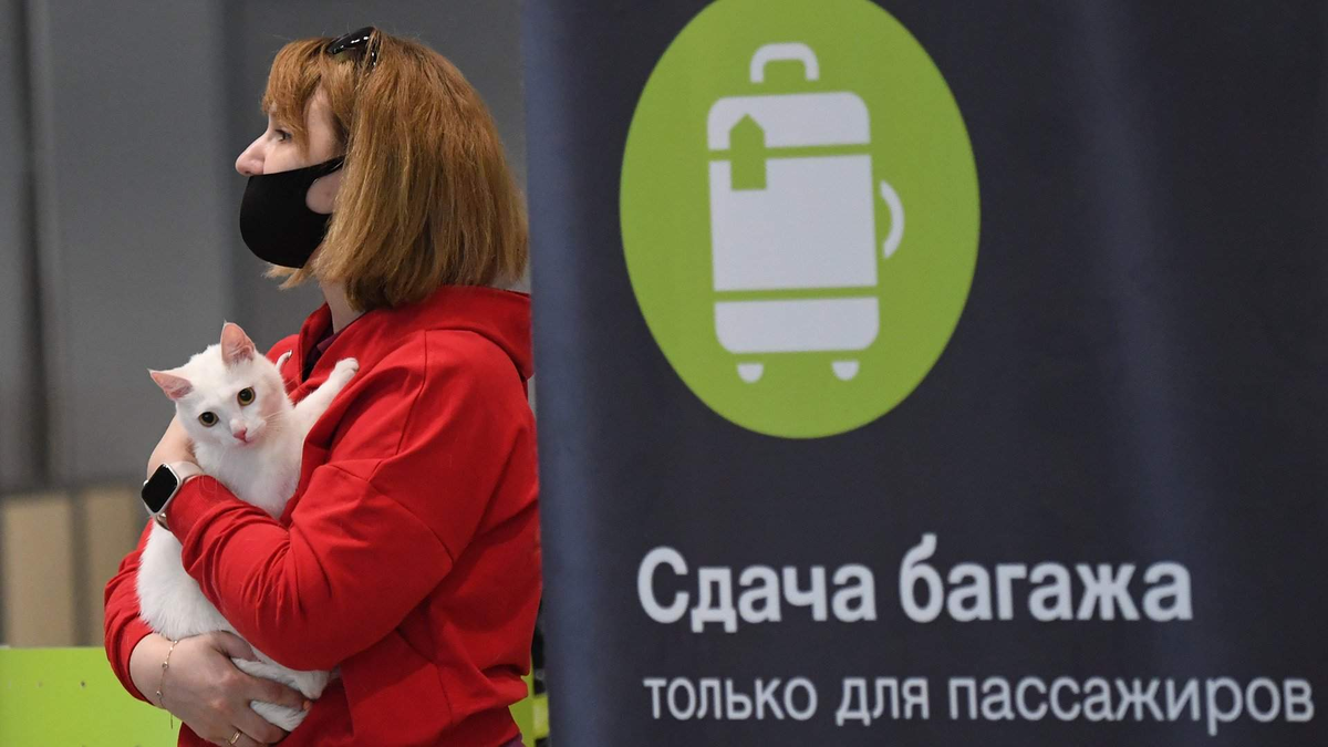 Фото: РИА Новости/Кирилл Каллиников