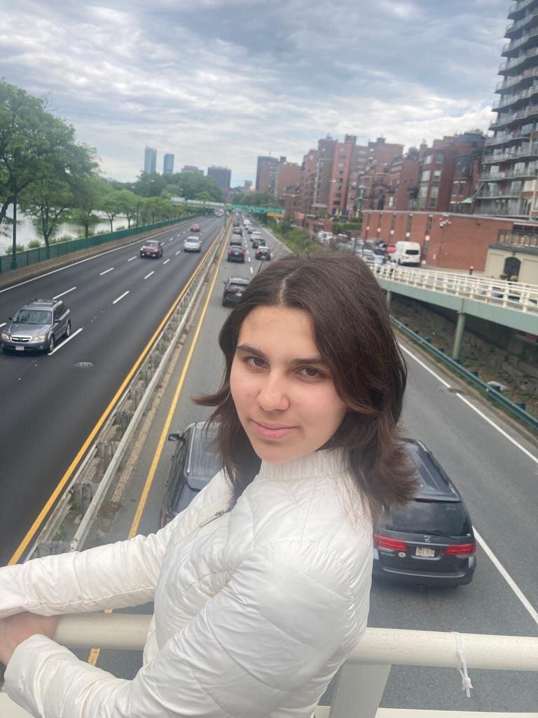 Мост рядом с парком Эспланада