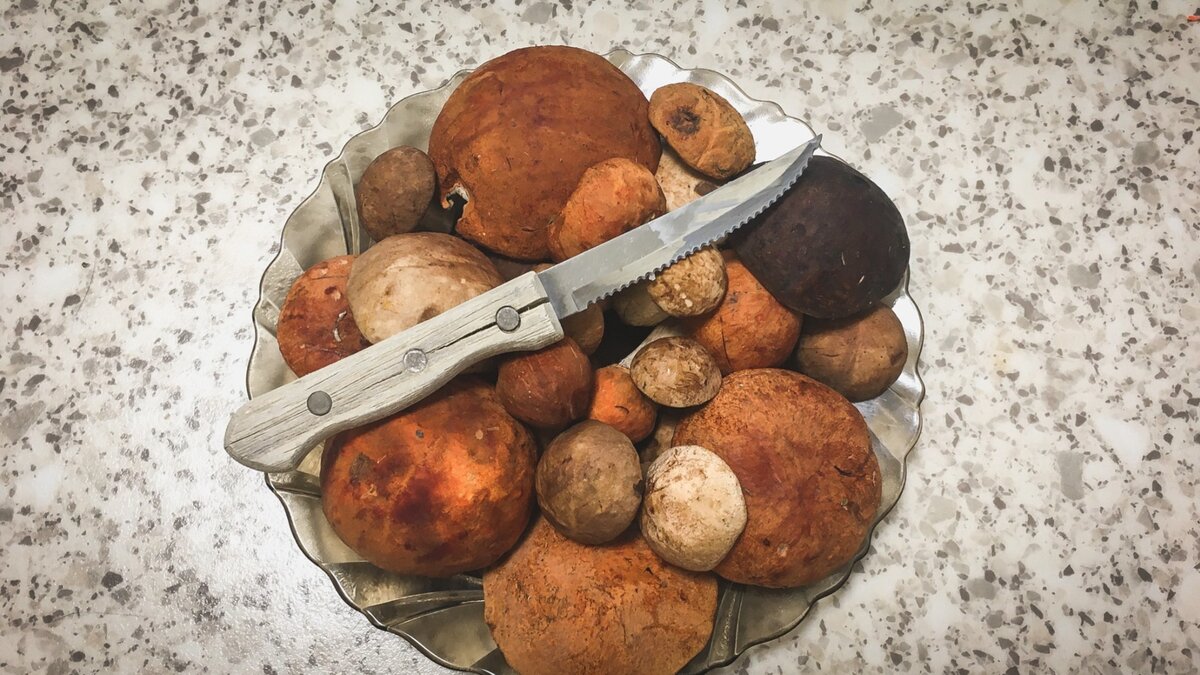     Тюменский грибник поделился фотографией своей первой находки в социальной сети Вконтакте.