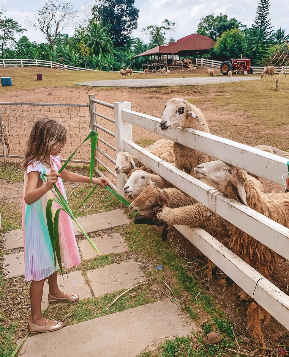 Когда нет возможности смотреть живую природу, смотрим фильмы