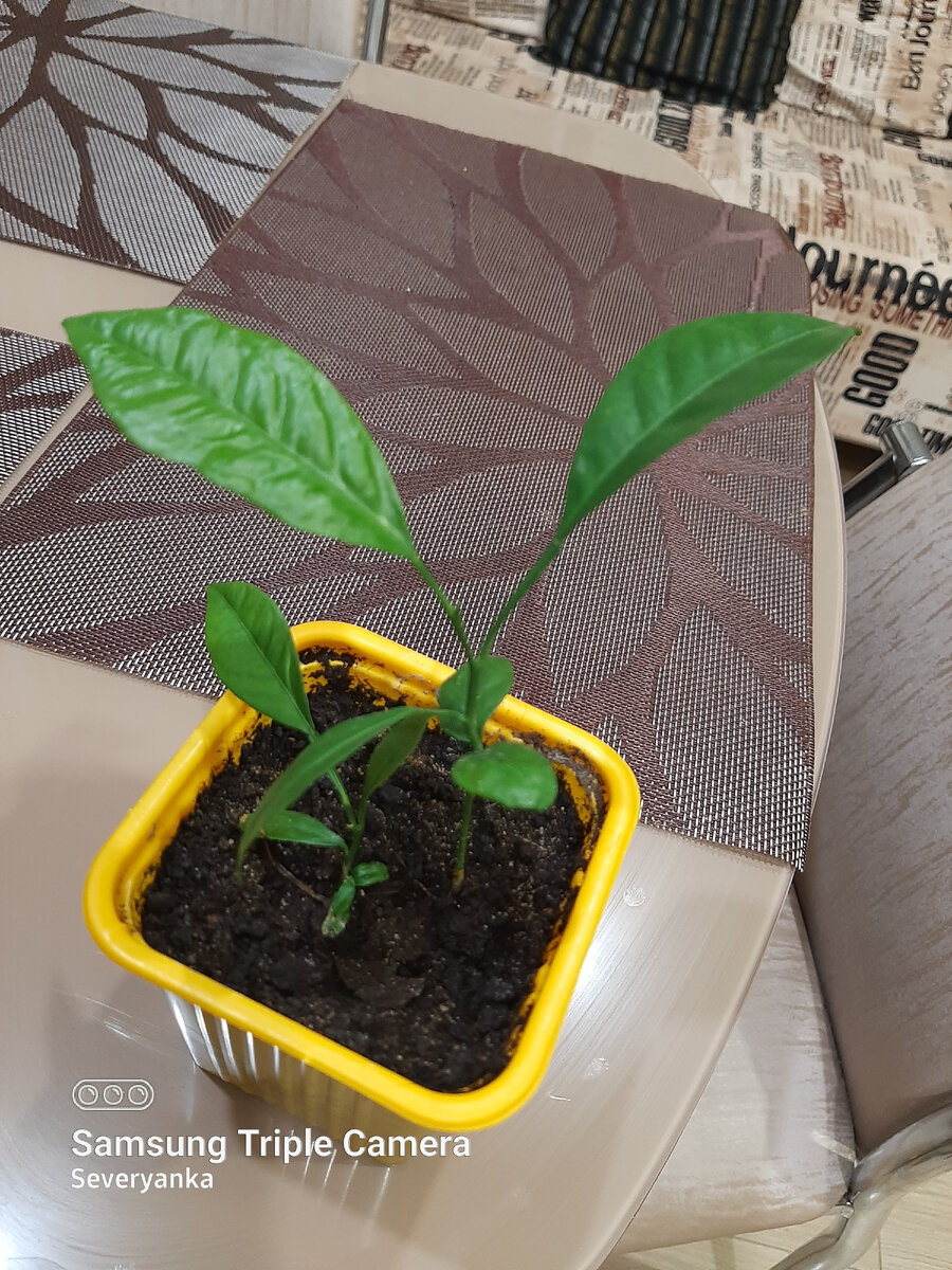 .Этому малышу чуть побольше, чем полгода