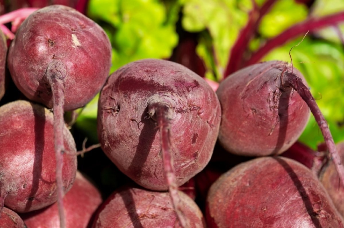    Свёкла кусается: какие продукты в Татарстане подорожали за неделю