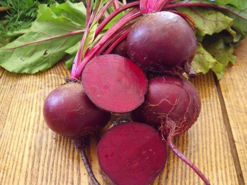 Какой сорт свеклы Какой сорт свеклы