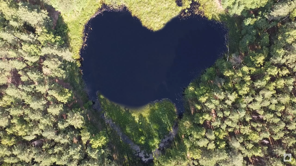 Лесное озеро Кипун. Россия, Удмуртия