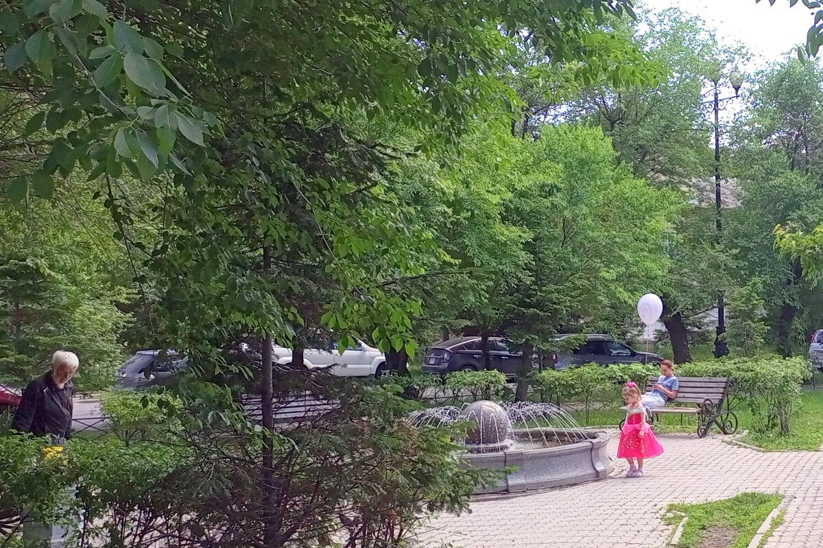 сквер. аа хабаровск. хабаровский жд вокзал. амурский утес хабаровск зима. метро владыкино главный ботанический сад.