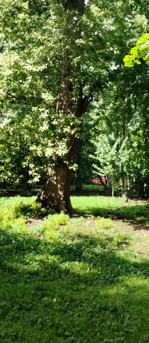 Всё нашли столик? 