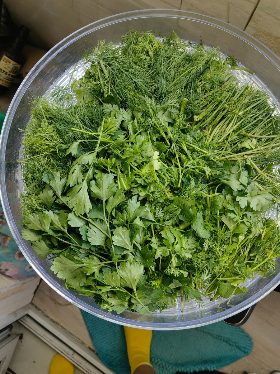 Сушеная зелень