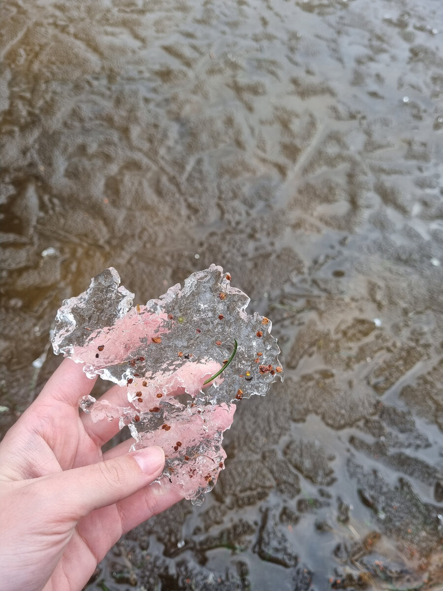 Лед на Утозеро