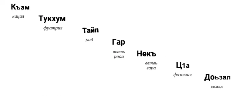 Место тайпа в чеченской социальной системе 