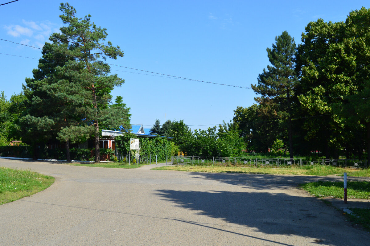 Фото автора. Июнь 2023. Станичное кафе. Всё утопает в зелени. На зимнике на пикете все было засыпано снегом.