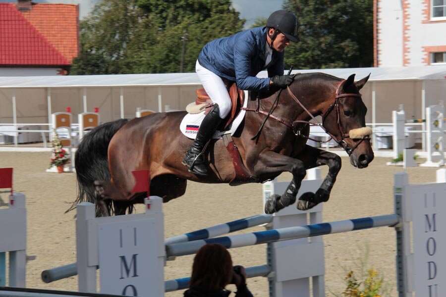 Конный спорт воронеж