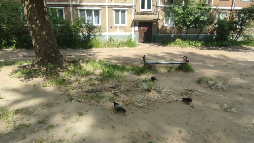     Жители Казани сообщили о том, что их двор годами не благоустраивают. Якобы программа «Наш двор» обходит их стороной. Об этом Inkazan сообщили читатели.