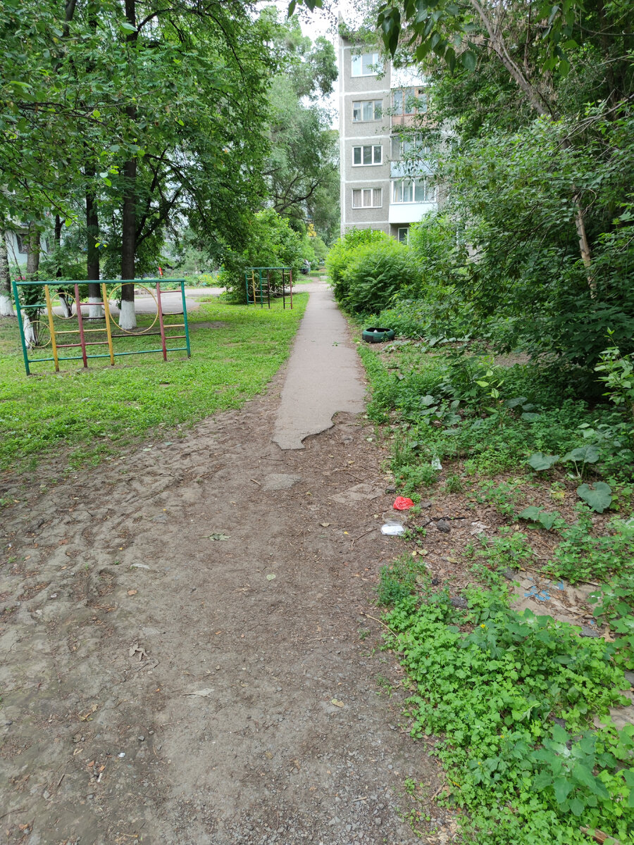 Фото автора. Там на неведомых дорожках...