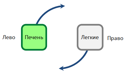 Фото с сайта amwiki.ru 